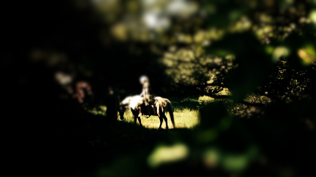 asdfasdfasa asdasdgadfg awerfar