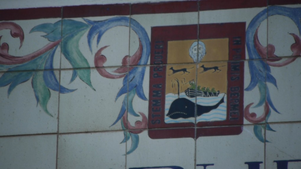 Balea Bermeoko udal-liburutegian, Aro Modernoan arrantzak izandako pisuaren erakusgarri